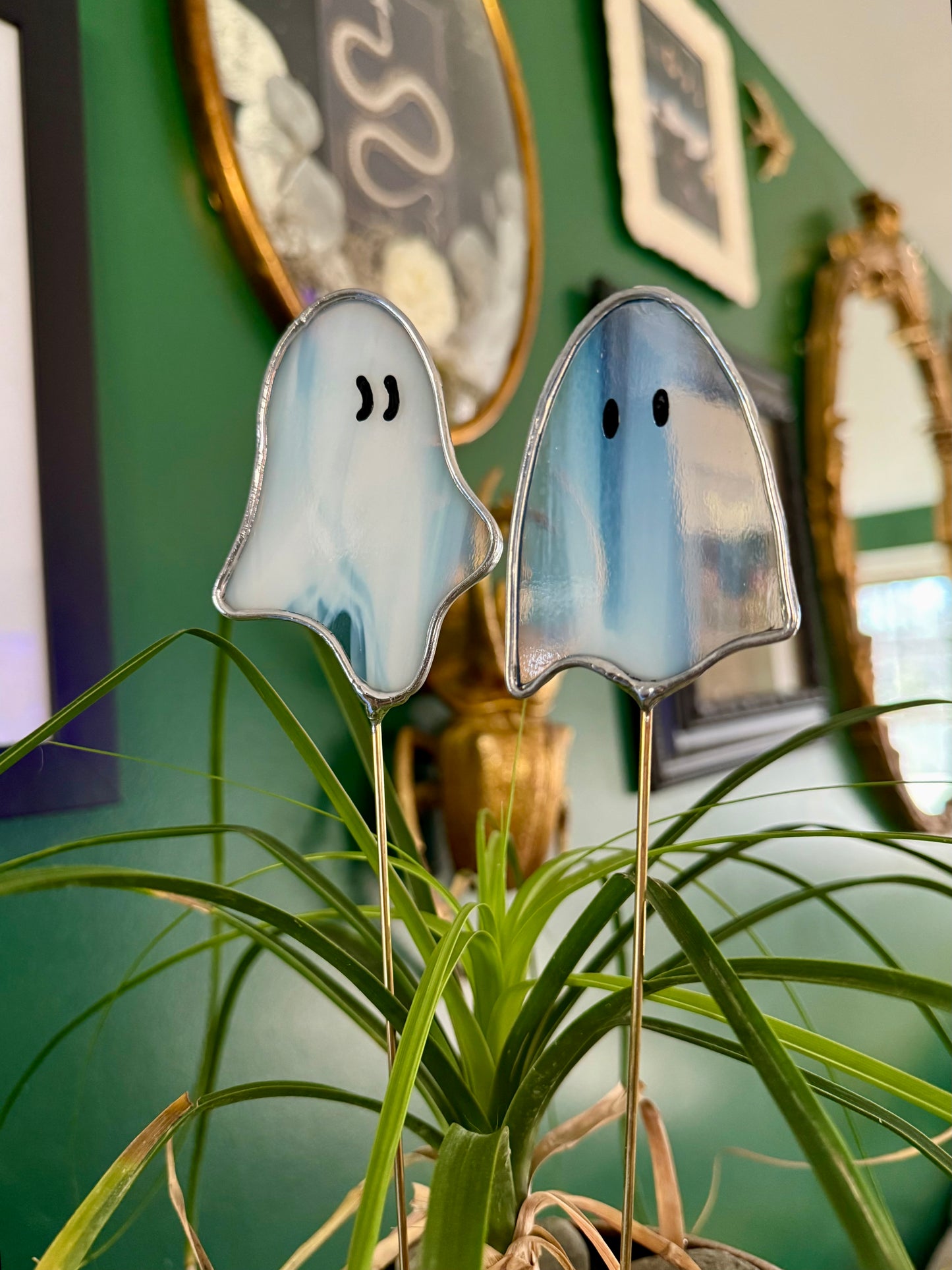 Ghost Plant Stakes