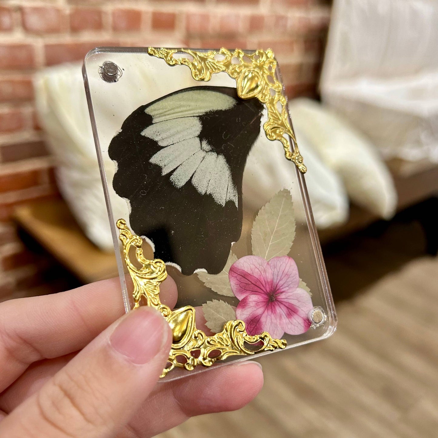 Butterfly Wing Magnets