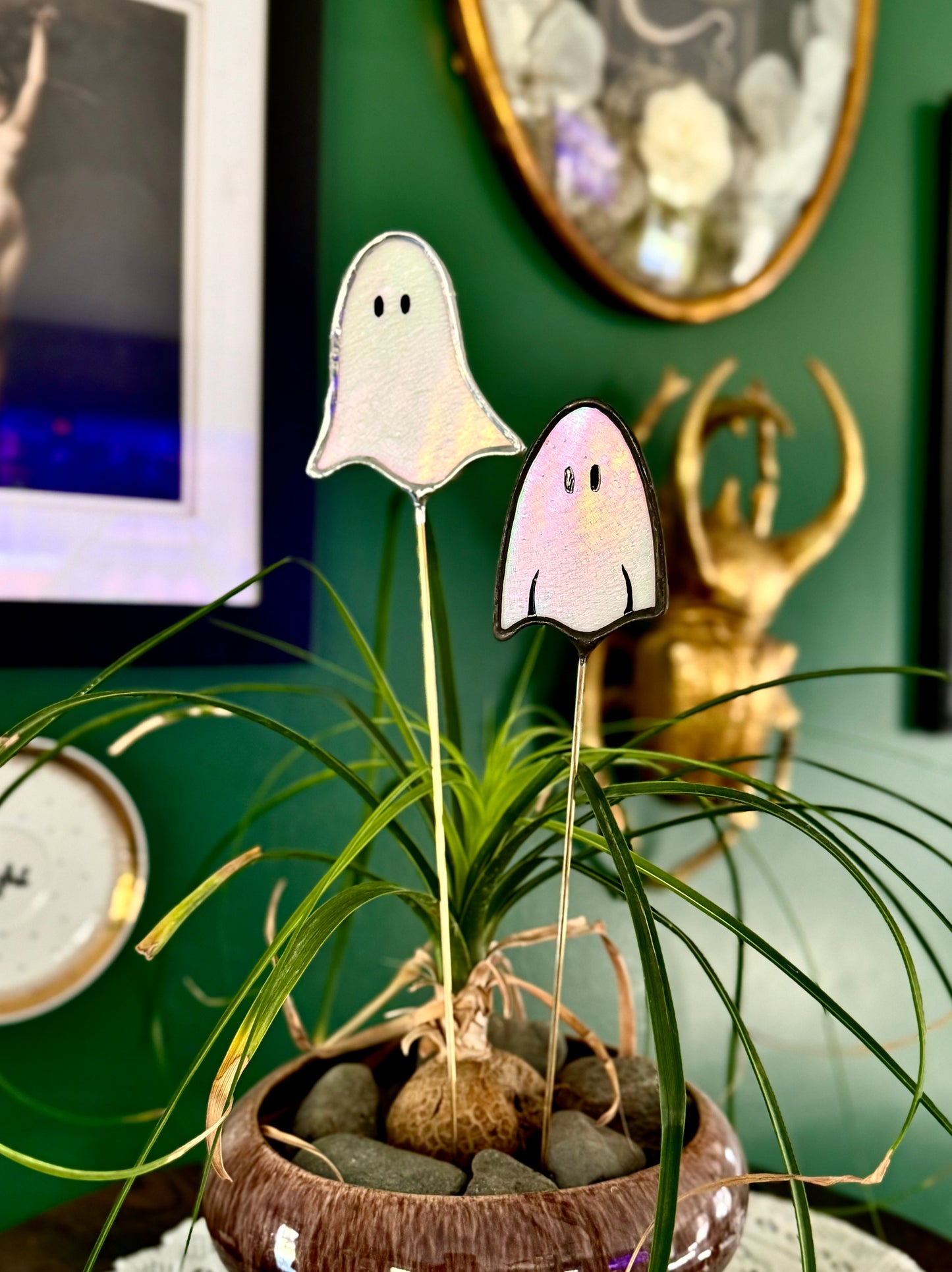 Ghost Plant Stakes