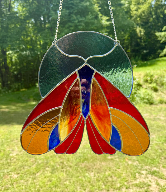 Moth & Moon