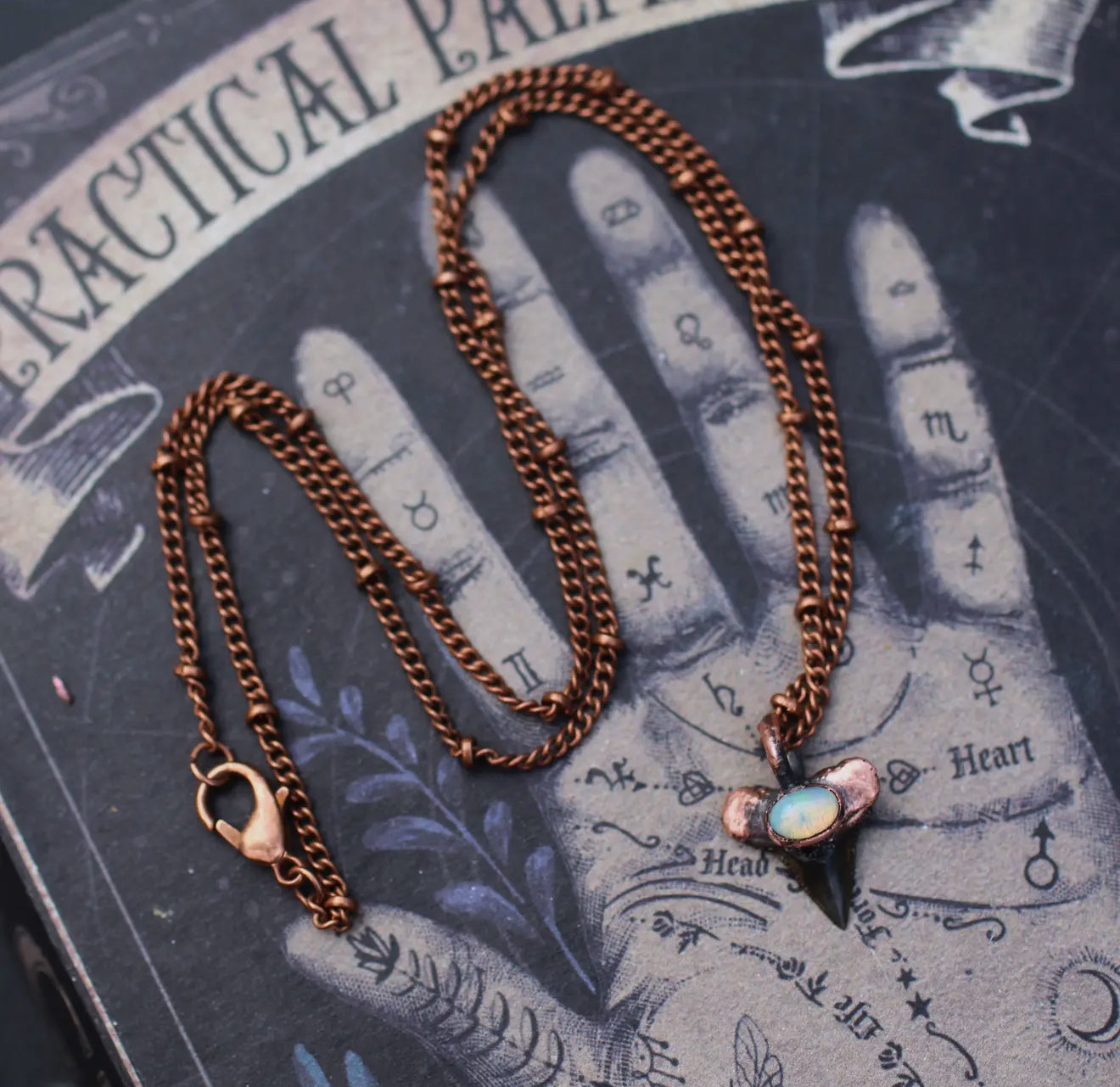 Opal Shark Tooth Electroformed Copper by Kitty Bomb Curios