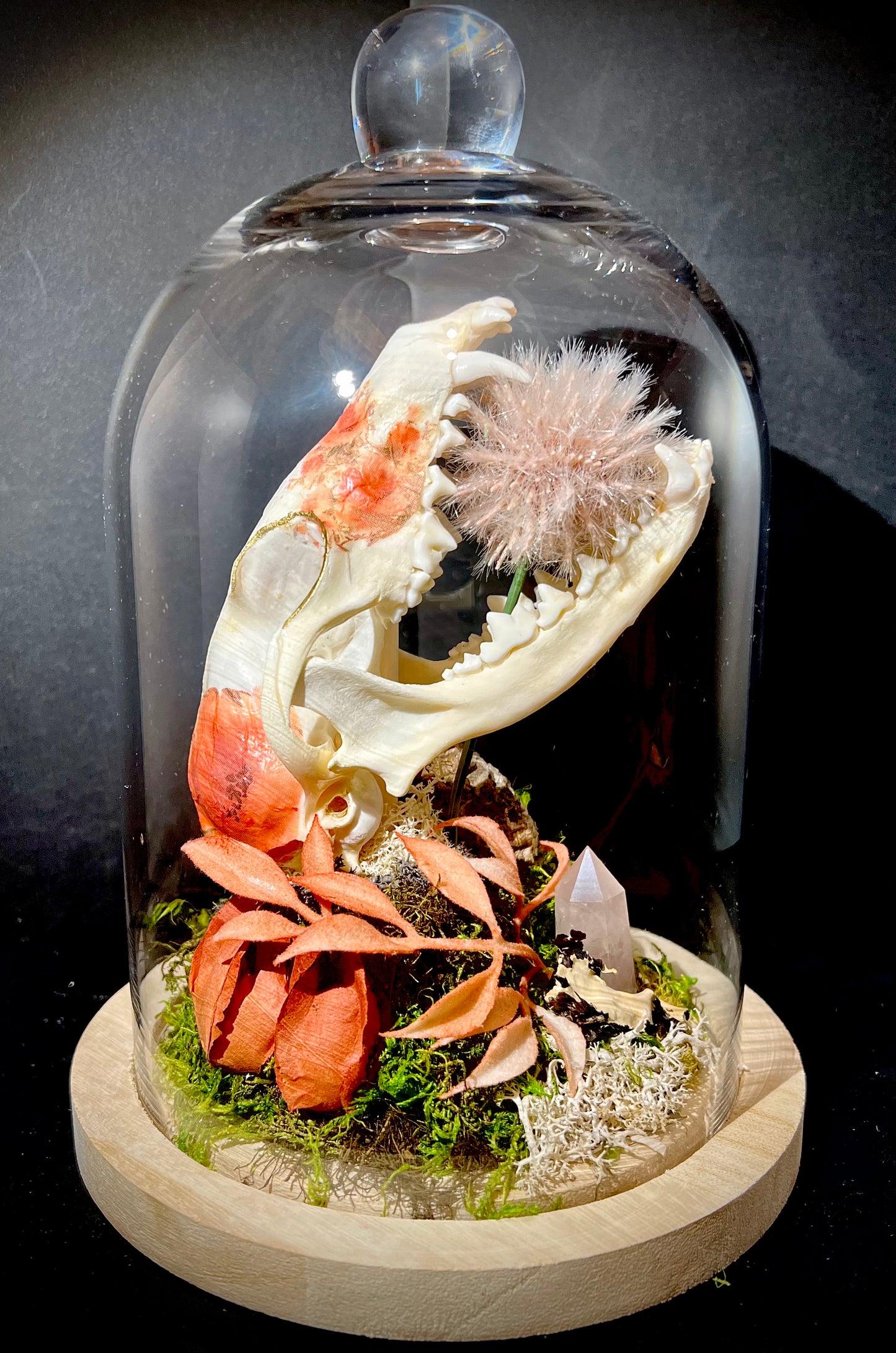 Decoupage Fox Skull in Glass Cloche Bell Jar