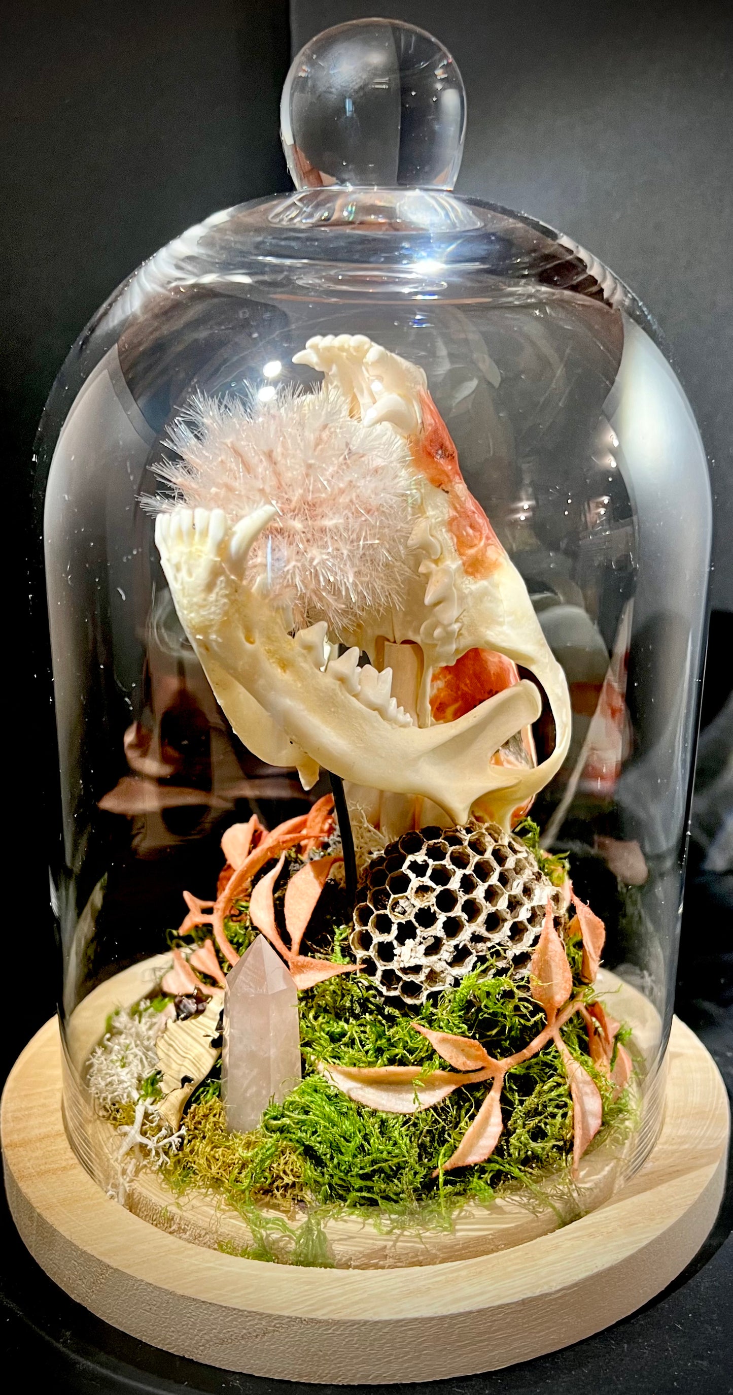 Decoupage Fox Skull in Glass Cloche Bell Jar