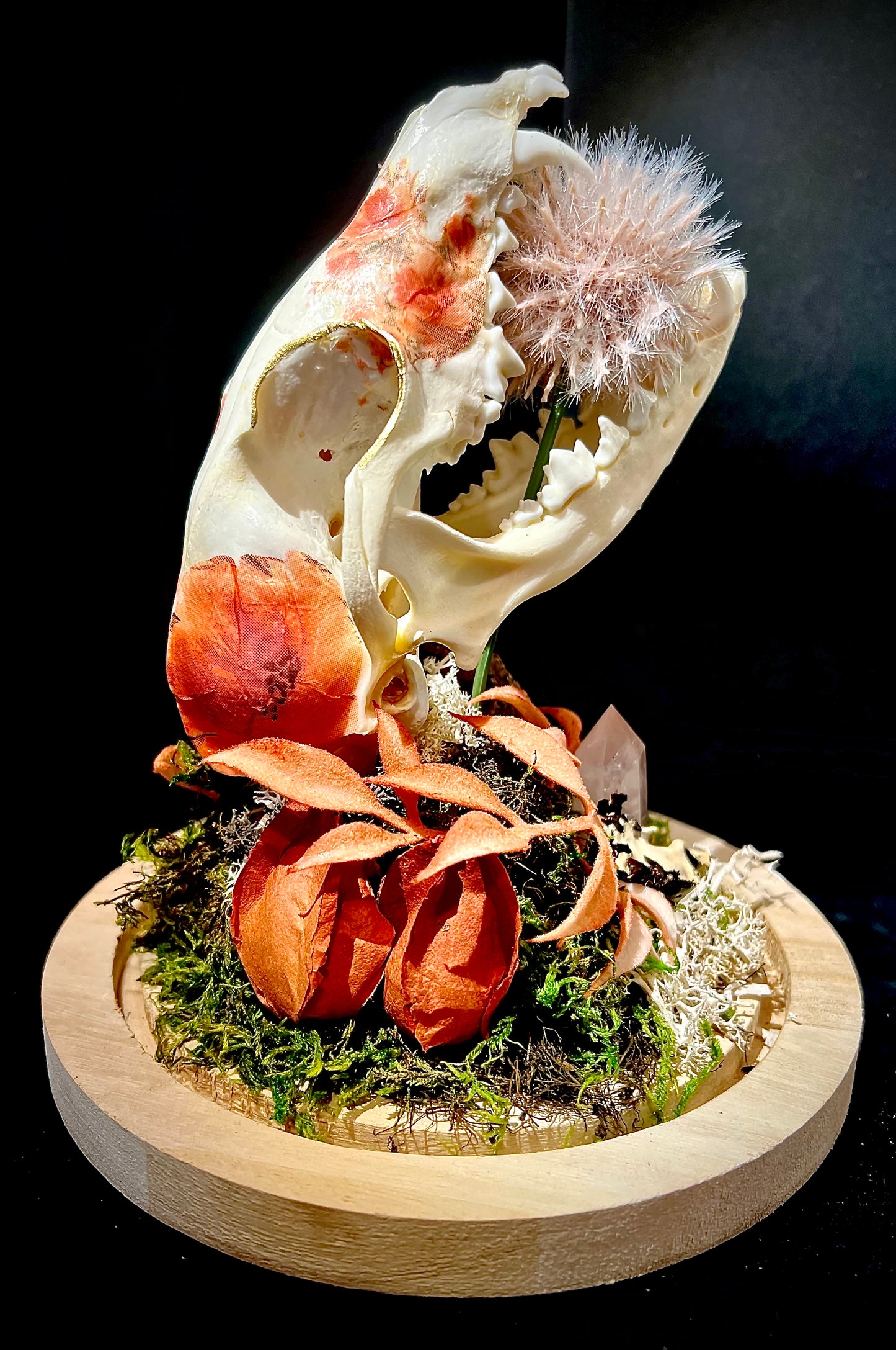 Decoupage Fox Skull in Glass Cloche Bell Jar