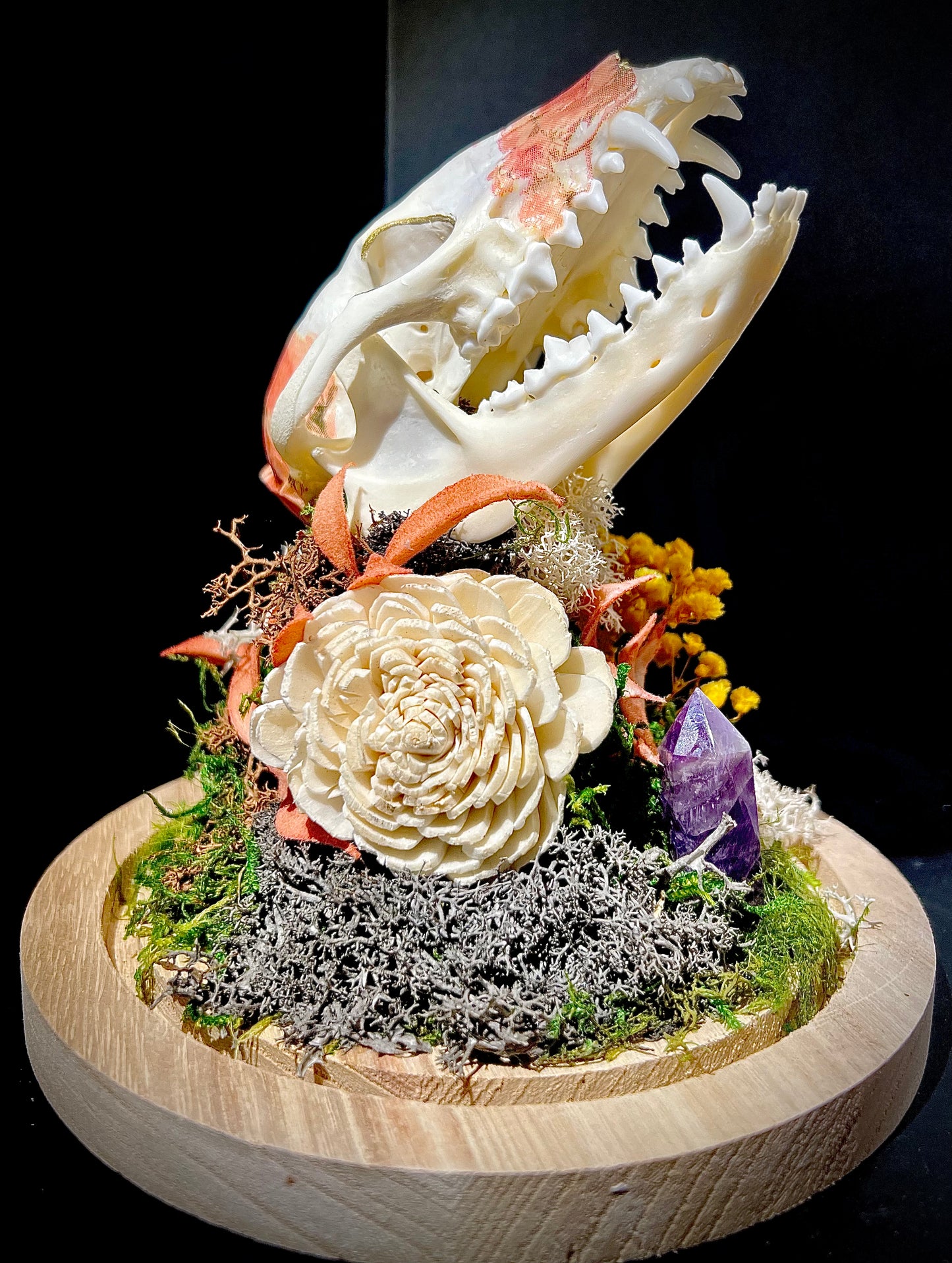 Decoupage Raccoon Skull in Glass Cloche Bell Jar