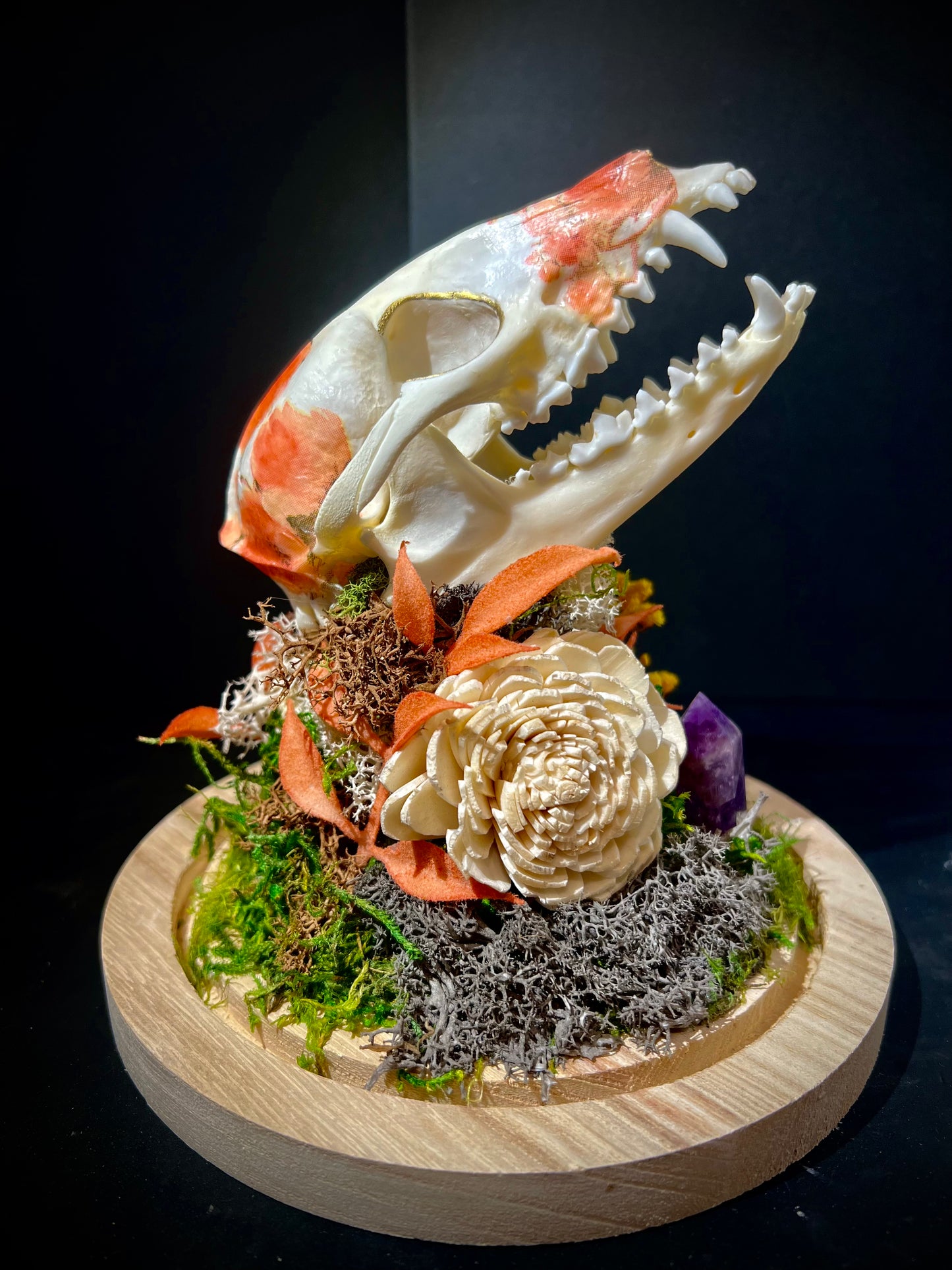 Decoupage Raccoon Skull in Glass Cloche Bell Jar
