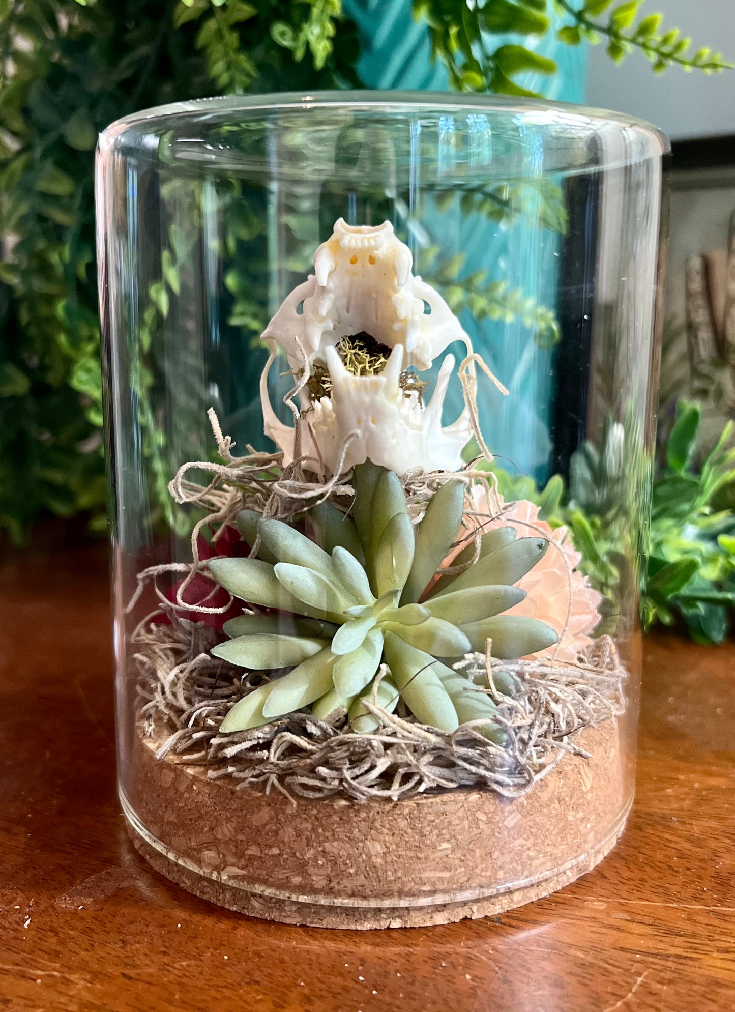 Mink Skull Oddity Art