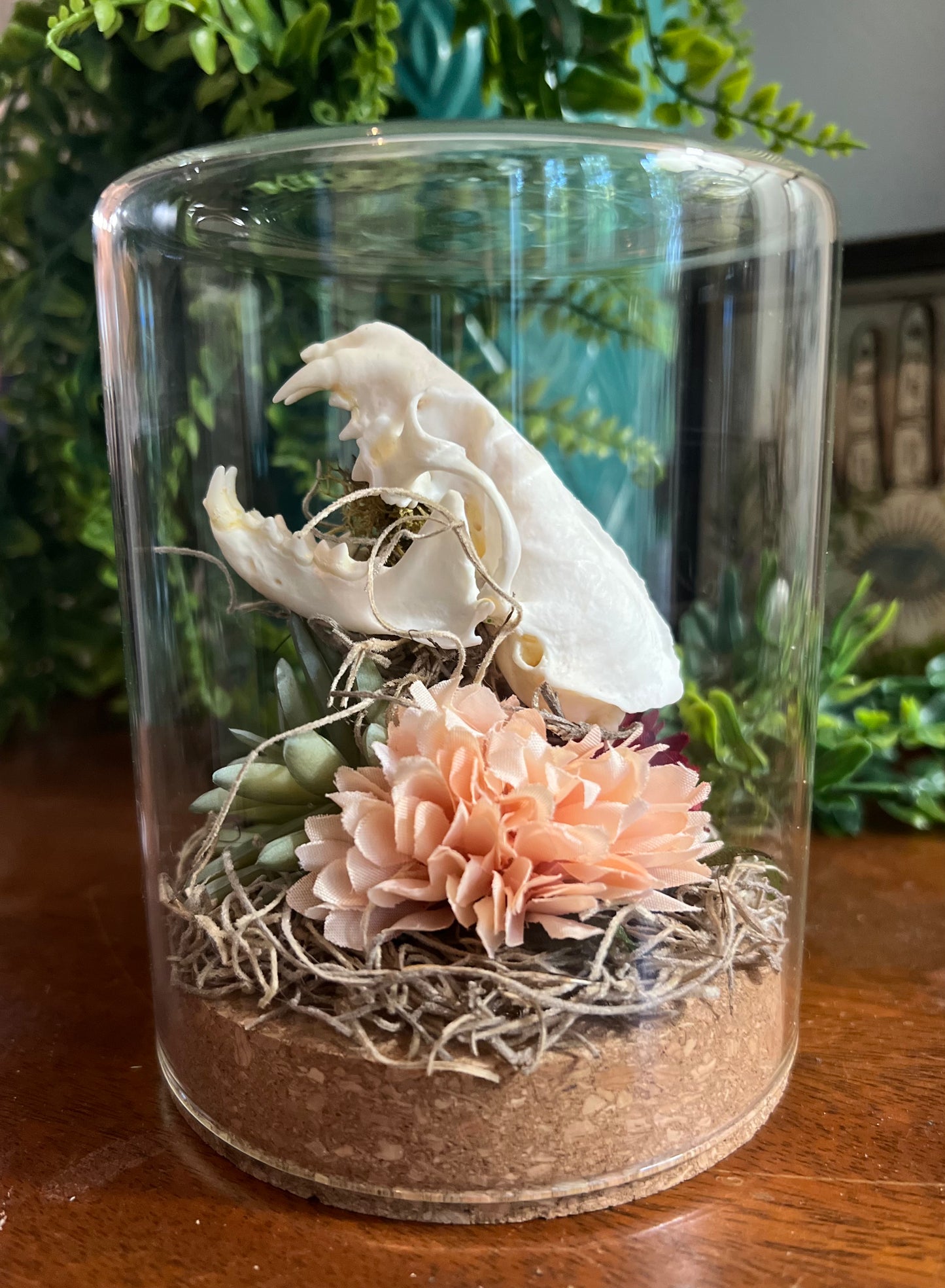 Mink Skull Oddity Art