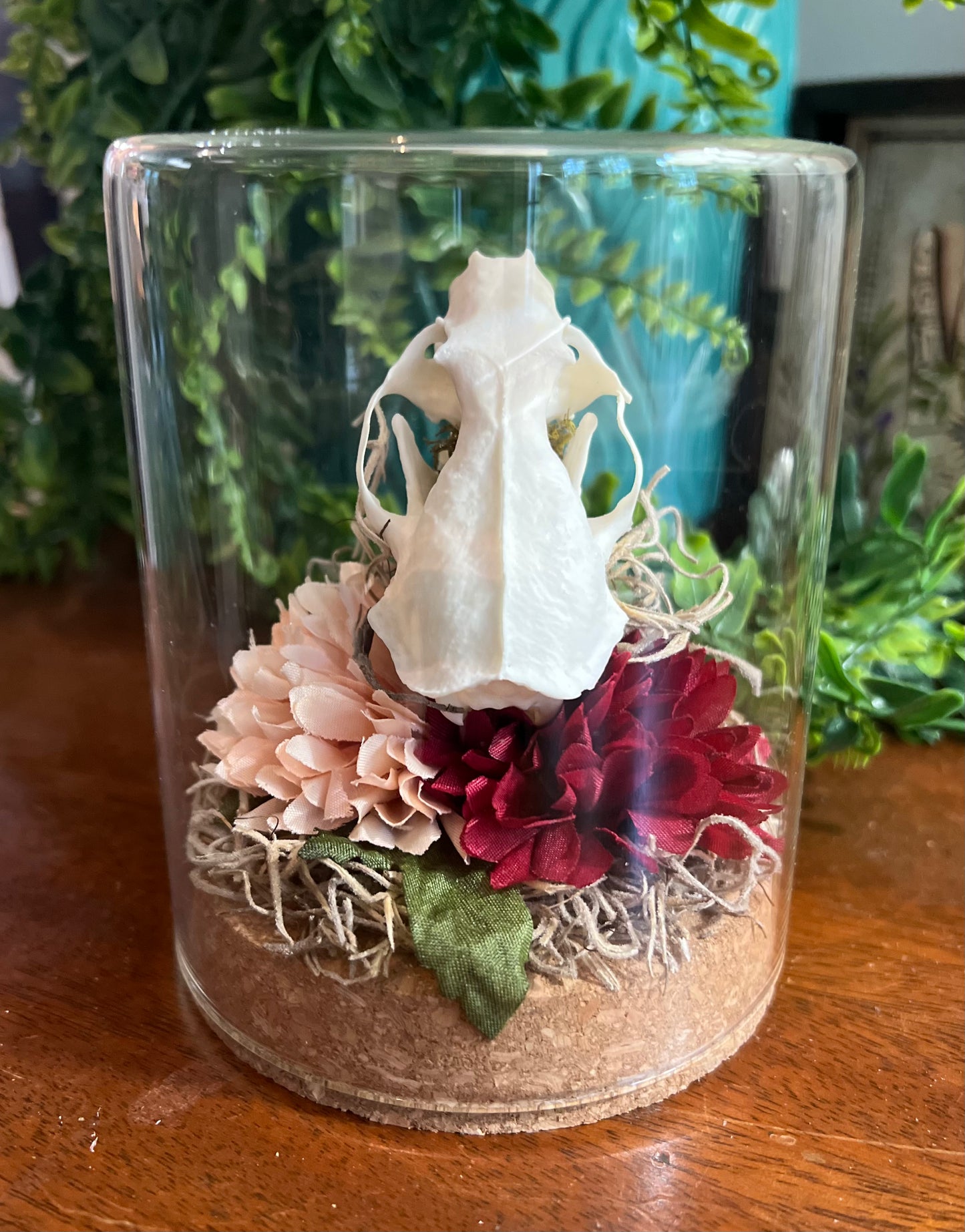 Mink Skull Oddity Art