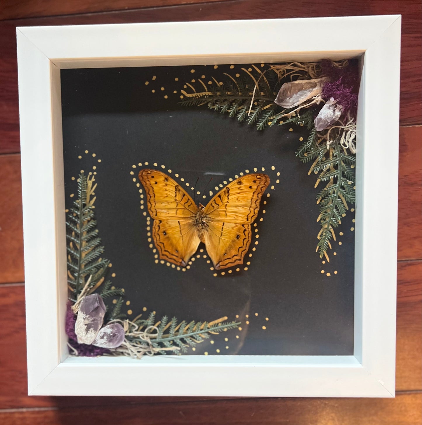 Butterfly Specimen Shadow Box
