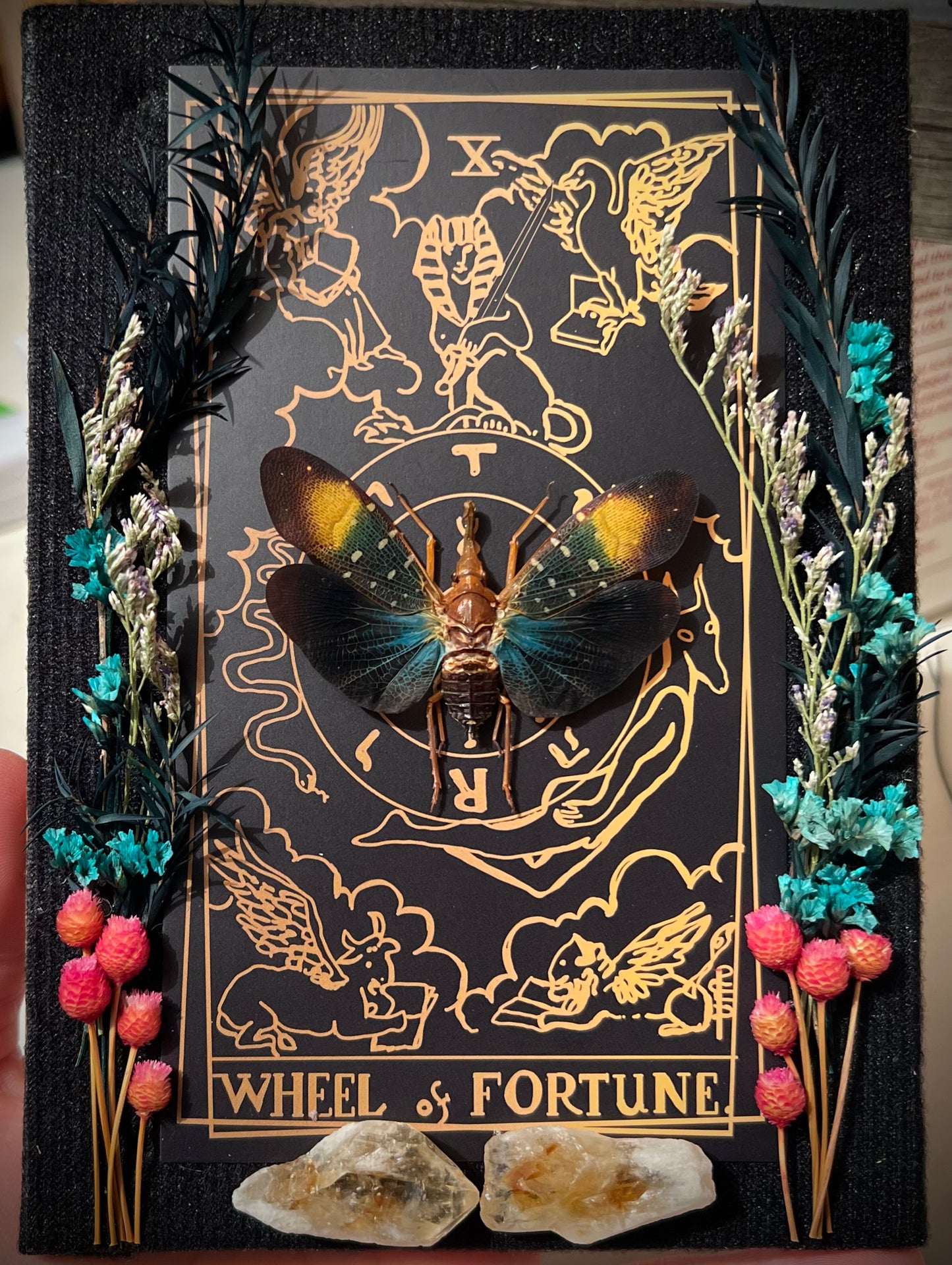 The Wheel of Fortune Tarot Lanter Fly Specimen Box