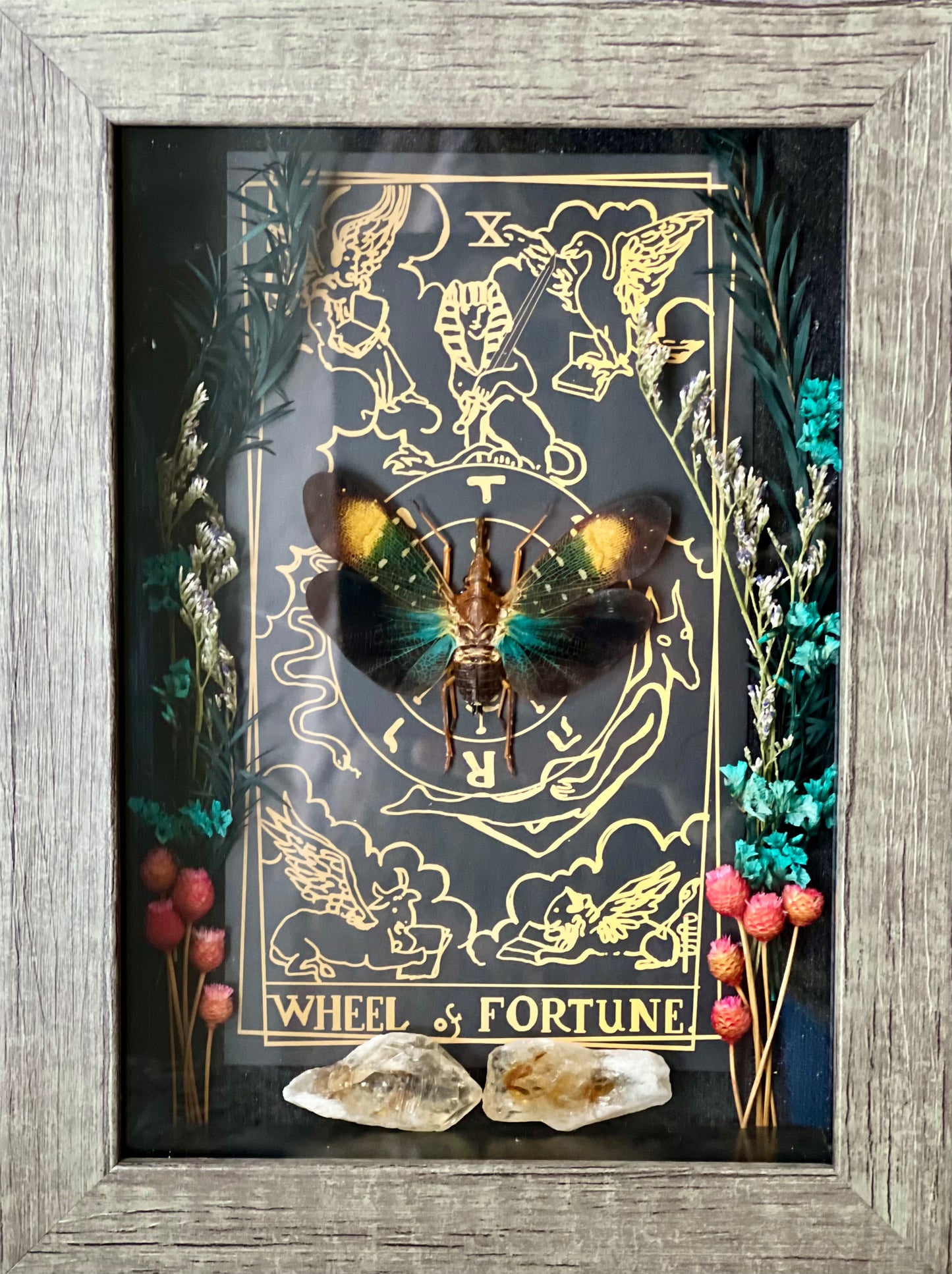 The Wheel of Fortune Tarot Lanter Fly Specimen Box