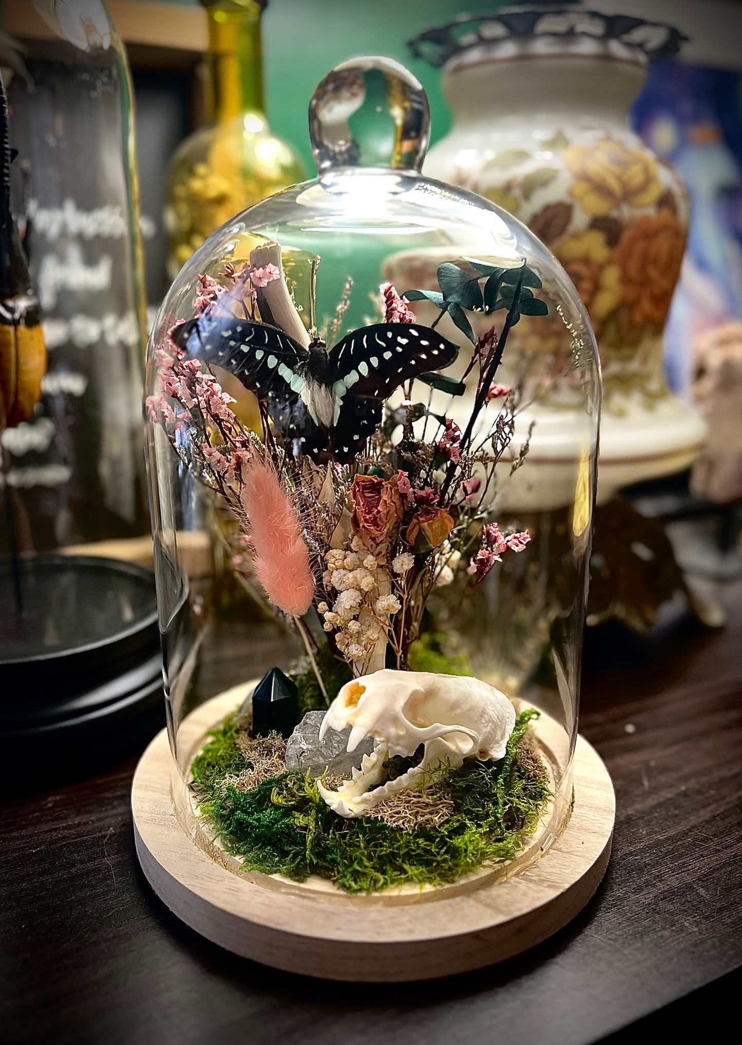Mink Skull & Butterfly Taxidermy Art in Glass Cloche