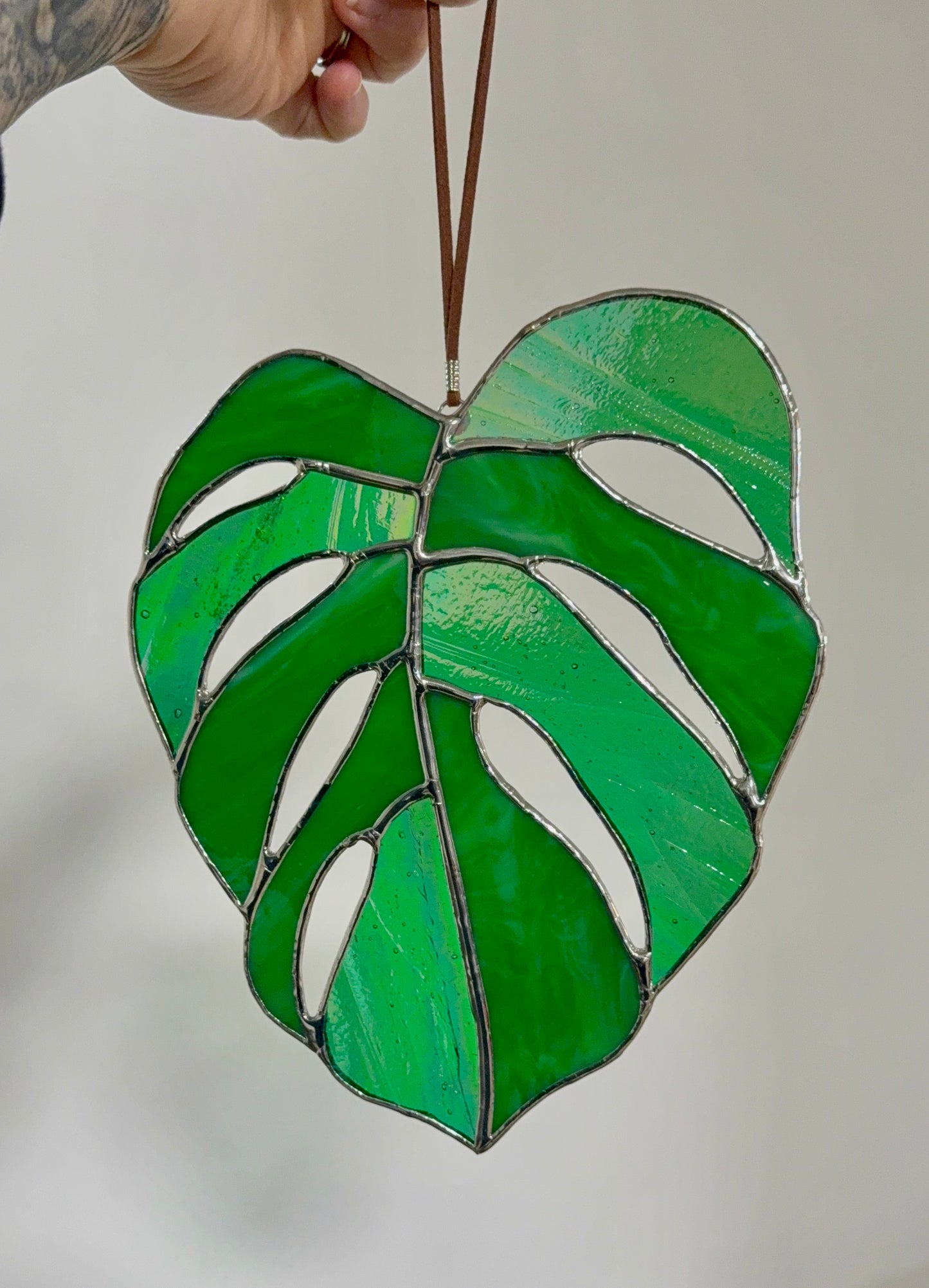 Monstera Leaf