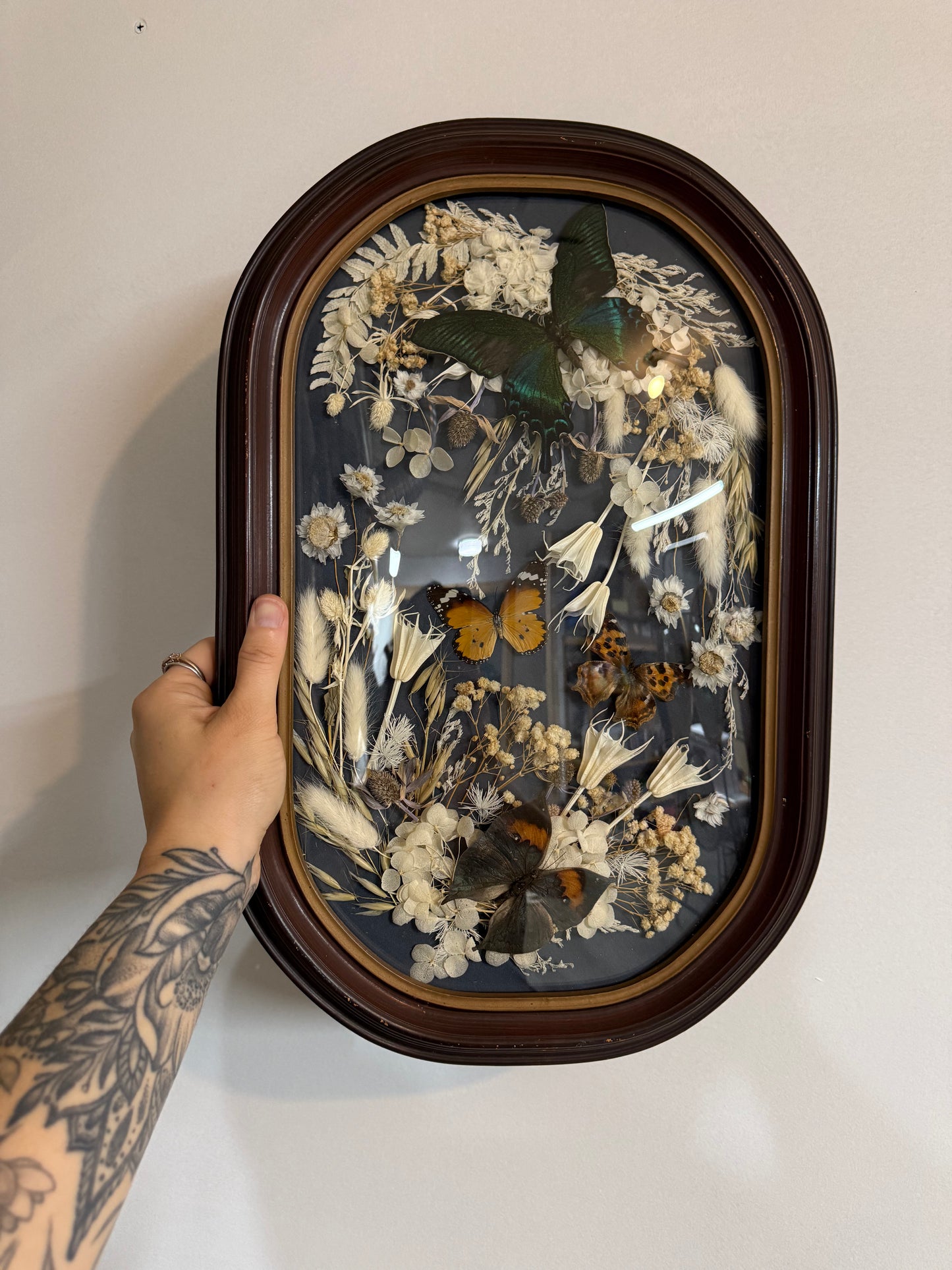 Vintage Antique Bubble Convex Glass Frame with Real Butterflies and Dried Flowers