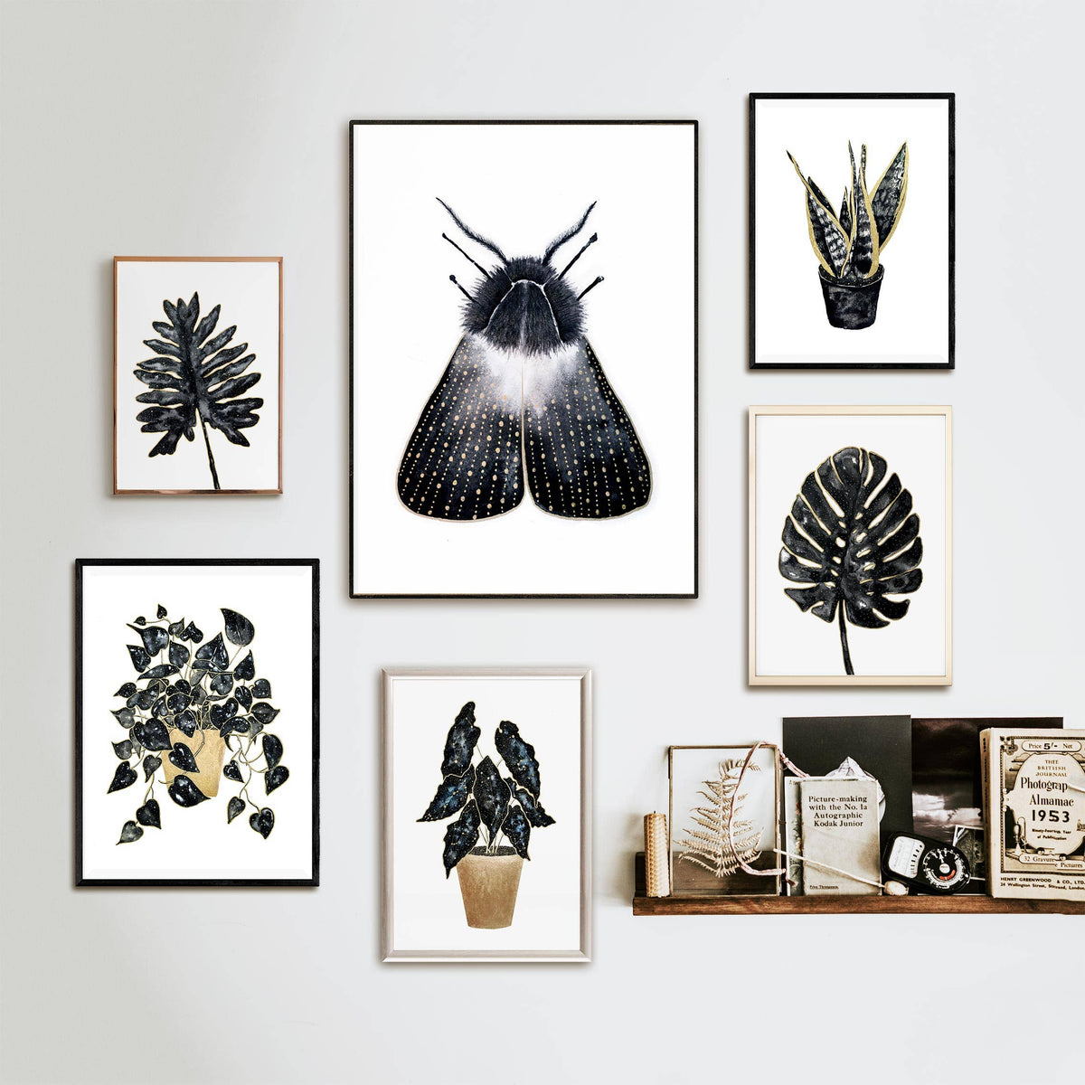 Moth Print, Butterfly Moth Poster Witchy Art Print Wall Art by The Flow Design