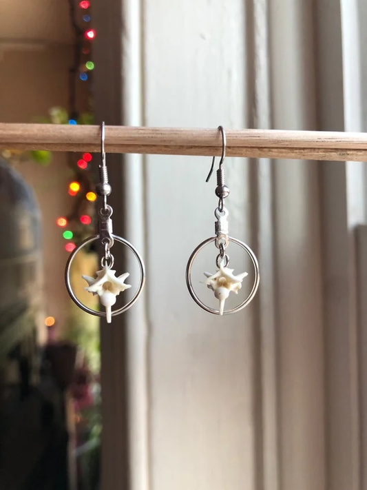 Rattlesnake Vertebrae Hoop Earrings oddities taxidermy