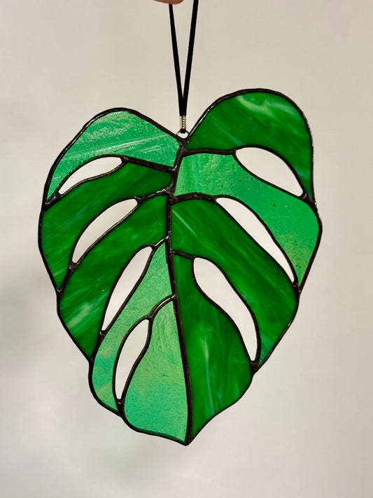 Monstera Leaf