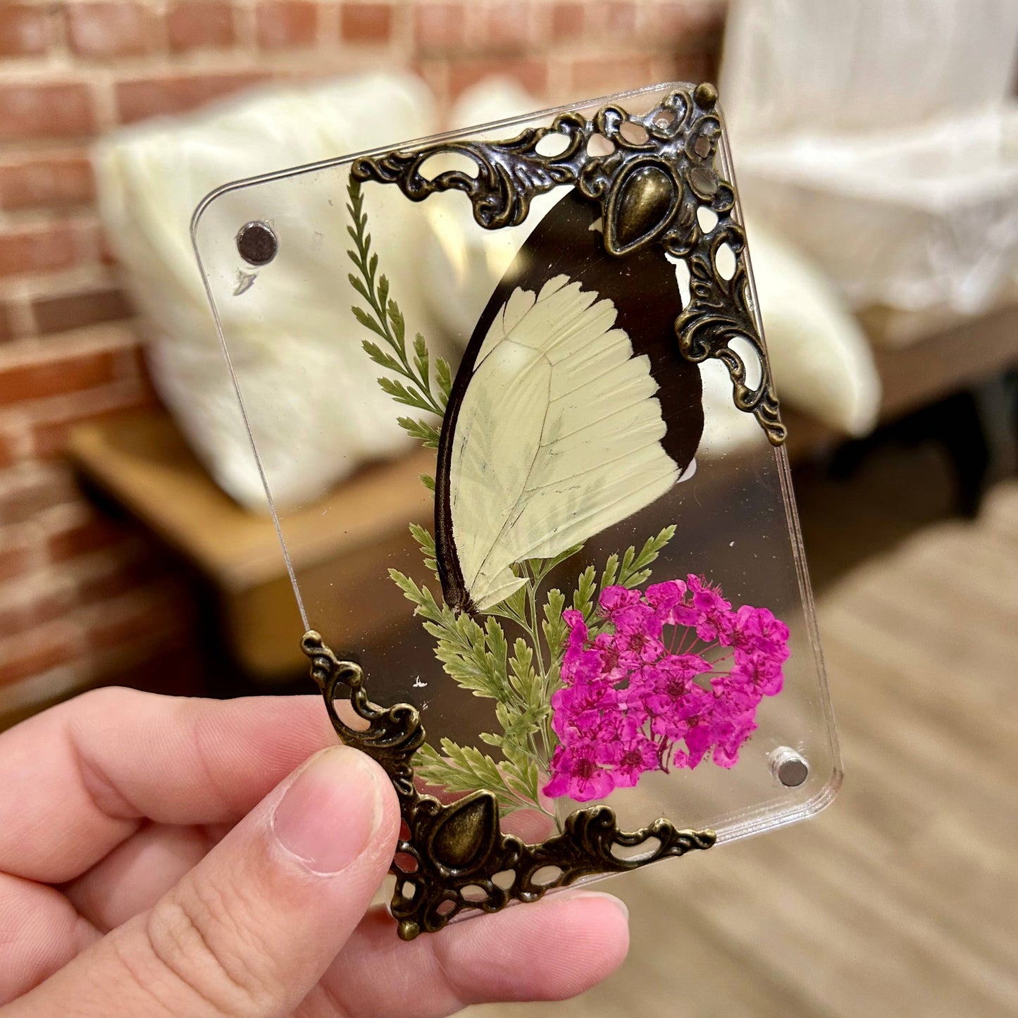 Butterfly Wing Magnets