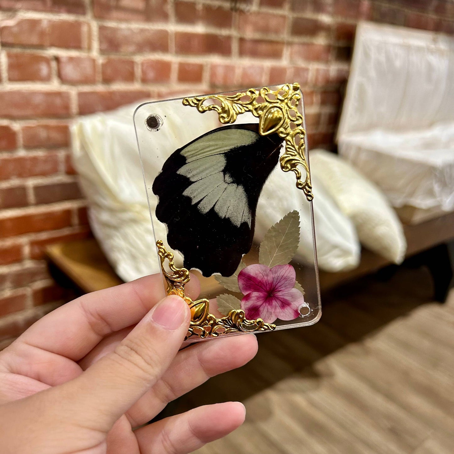 Butterfly Wing Magnets