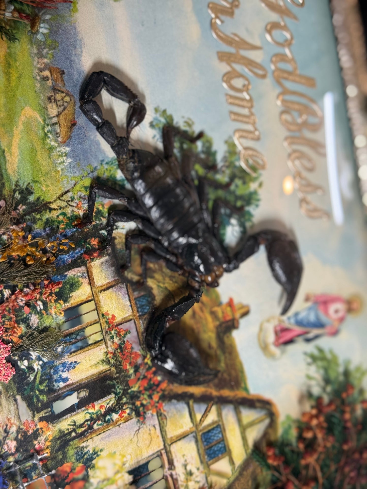 Antique Bubble Convex Glass  “God Bless Our Home” Diorama Frame with Taxidermy Scorpion