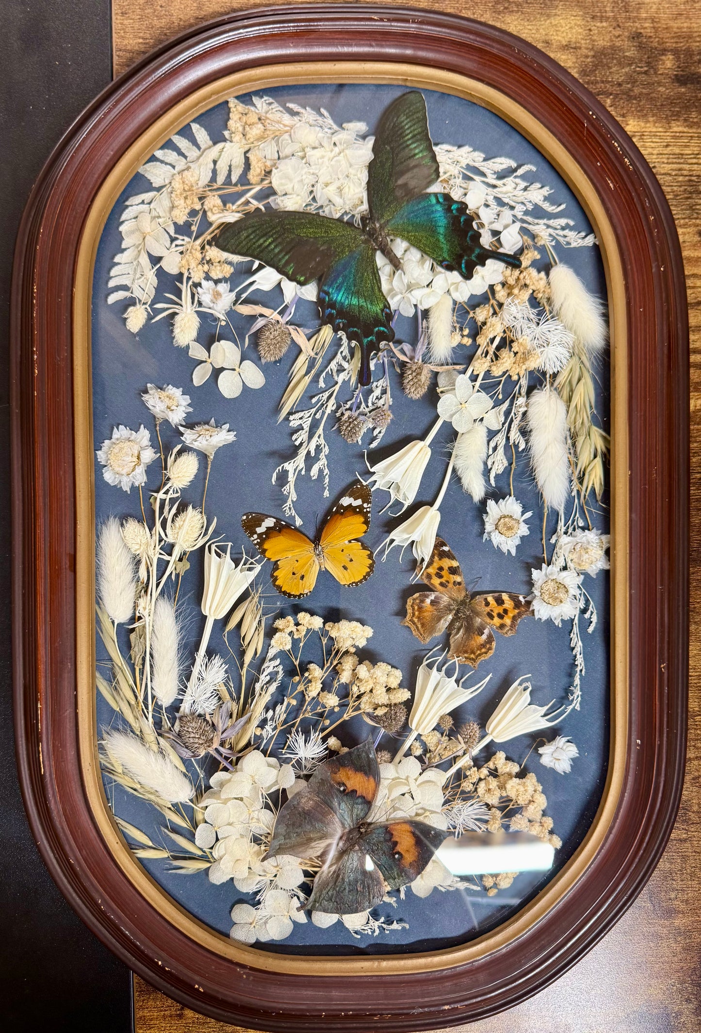 Vintage Antique Bubble Convex Glass Frame with Real Butterflies and Dried Flowers