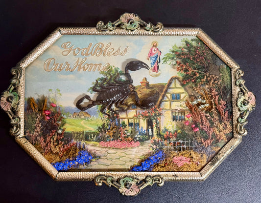 Antique Bubble Convex Glass  “God Bless Our Home” Diorama Frame with Taxidermy Scorpion