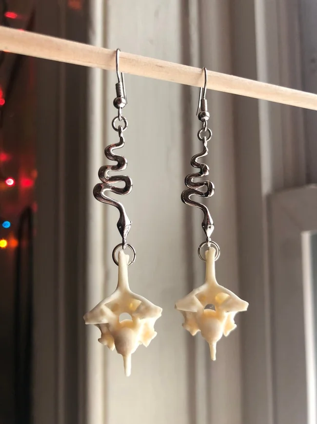 Snake Vertebrae Earrings oddities taxidermy 