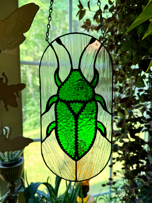 Stained Glass Beetle