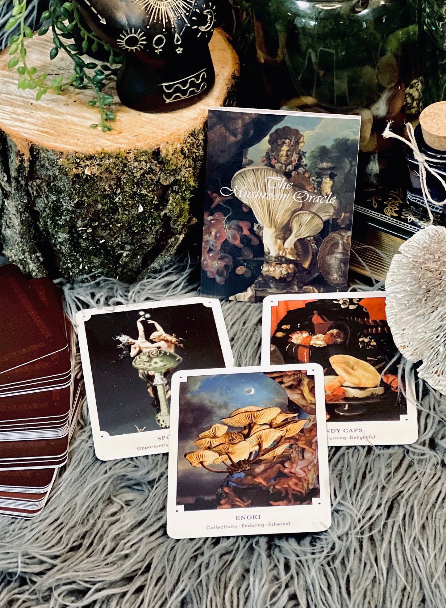 Mushroom Oracle Deck
