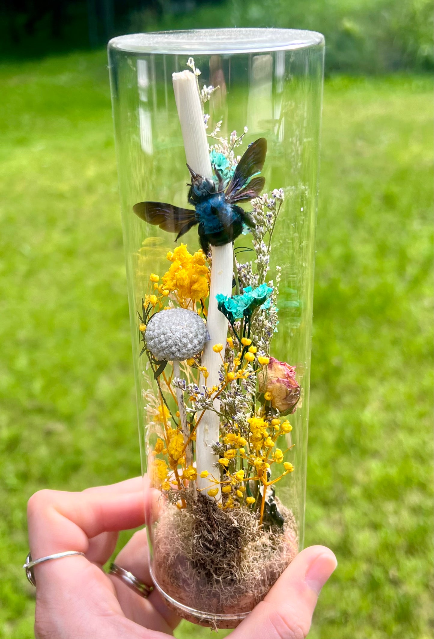 Carpenter Bees & Dried Flowers in Glass Jar