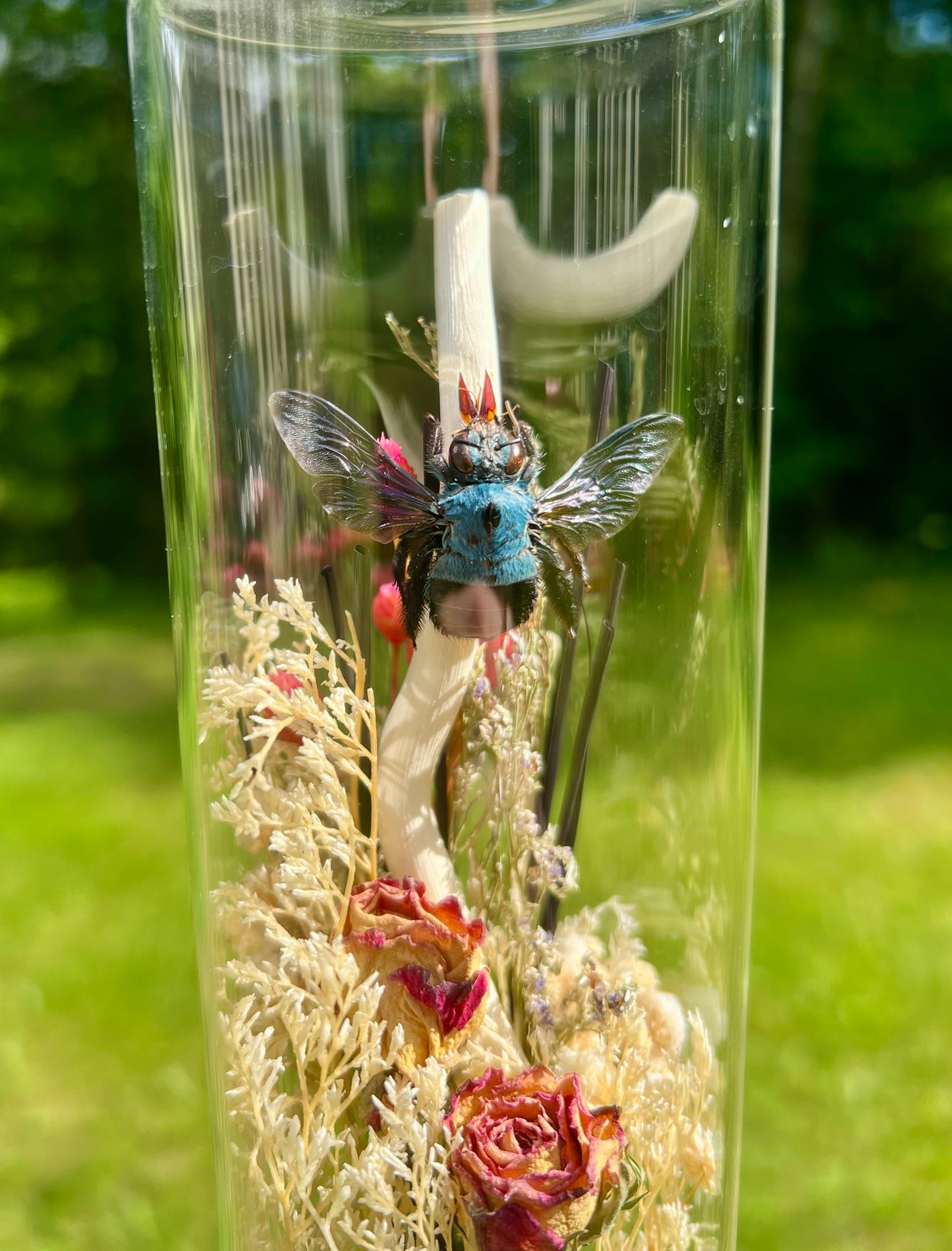 Carpenter Bees & Dried Flowers in Glass Jar