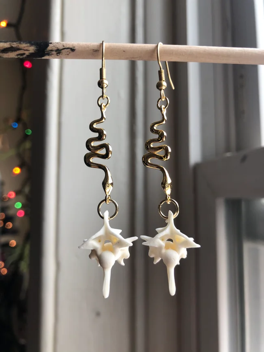 Snake Vertebrae Earrings oddities taxidermy 