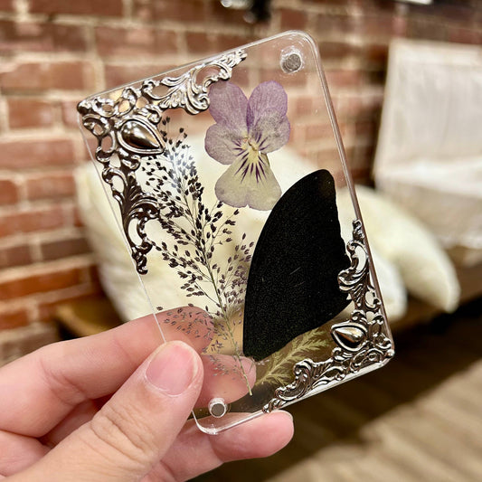 Butterfly Wing Magnets