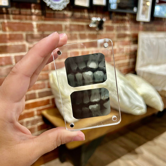 Dental X-Ray Magnet