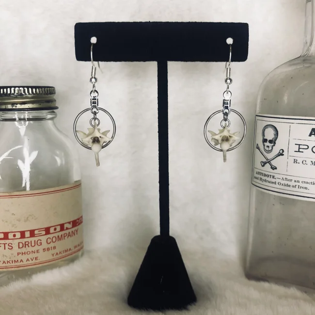 Rattlesnake Vertebrae Hoop Earrings oddities taxidermy