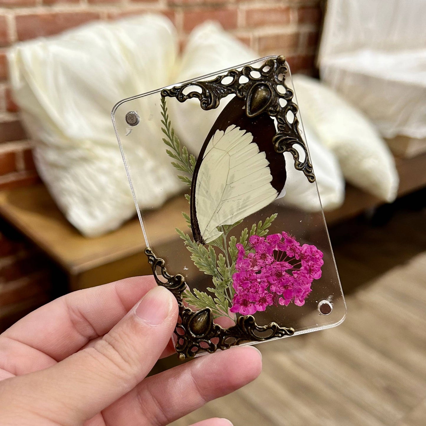 Butterfly Wing Magnets